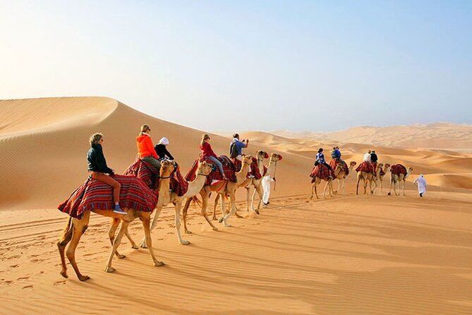 Camel Trekking in Abu Dhabi With Shared Transfer, Fun and More - Important Reminders