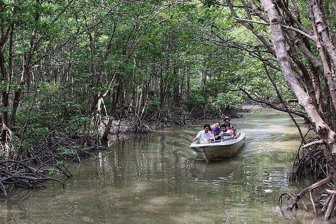 Can Gio Mangrove Forest Biosphere Private Tour  - Ho Chi Minh City - Traveler Photos and Exploration