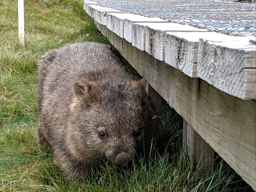 Canberra: Best of Wildlife Tour - Directions