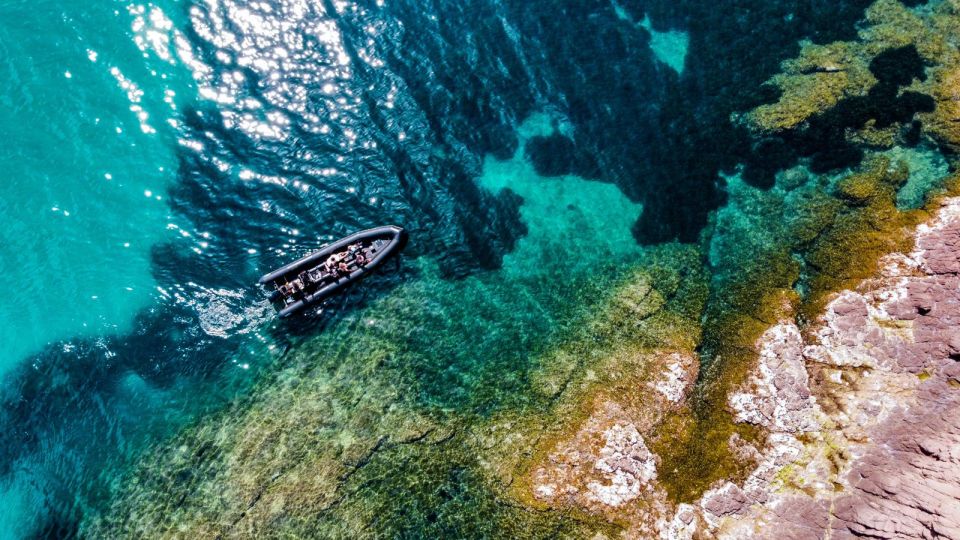 Cannes: Scenic Coves RIB Boat Tour - Last Words