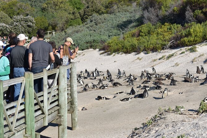 Cape of Good Hope and Penguins Full-Day Tour From Cape Town - Common questions