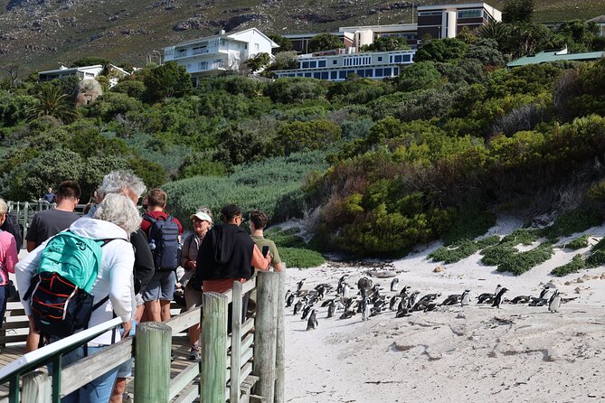 Cape Town: Cape of Good Hope, Table Mountain & Wine Tasting Tour - Additional Information