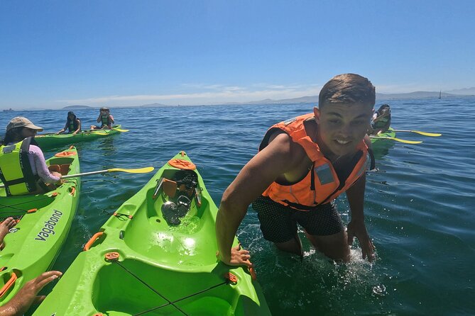 Cape Town Sea Kayaking Adventure Launching From V&A Waterfront - Last Words