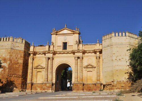 Carmona: City Walking Tour - Language and Tour Details