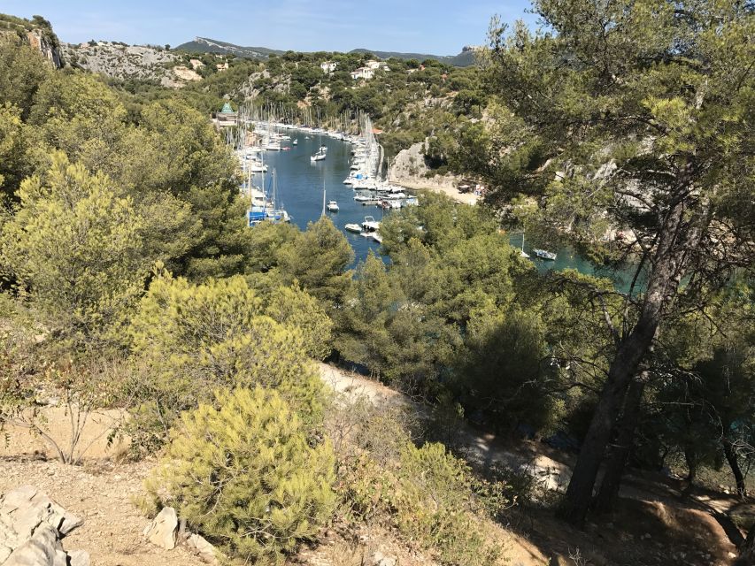 Cassis: Calanques and Viewpoints Tour by Mountain E-Bike - Customer Reviews and Ratings