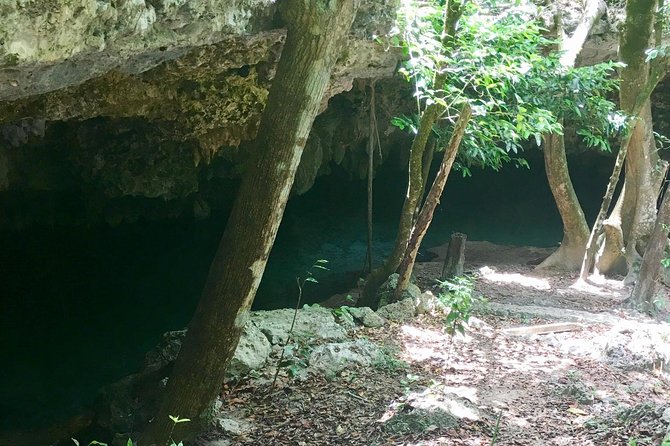 Cenotes Bike Tour With Food - Common questions