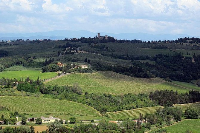 Chianti From Florence:Private Wine, Olive Oil Tasting in the Tuscan Countryside - Customer Support