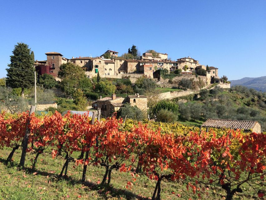 Chianti, Siena, S. Gimignano & Wine Tasting Private Tour - Common questions