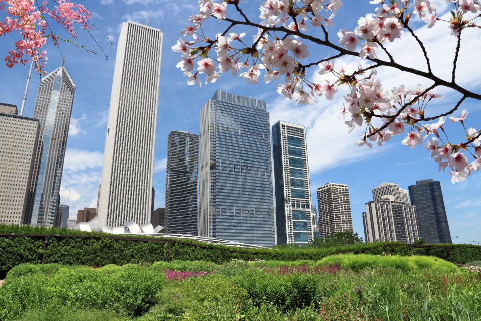 Chicago: Self-Guided Audio Walking Tour - Activity Information