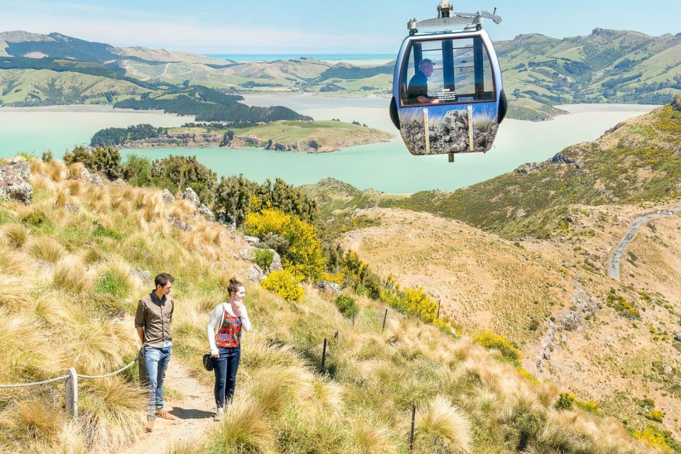 Christchurch Gondola and Tram City Tour Combo - Common questions