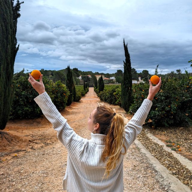 Citrus Treasures: Exploring Valencias Orange Grove - Last Words