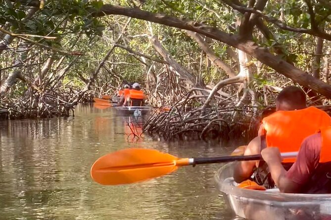 Clear Kayak Private Guided Day and Night Tours in Florida - Common questions