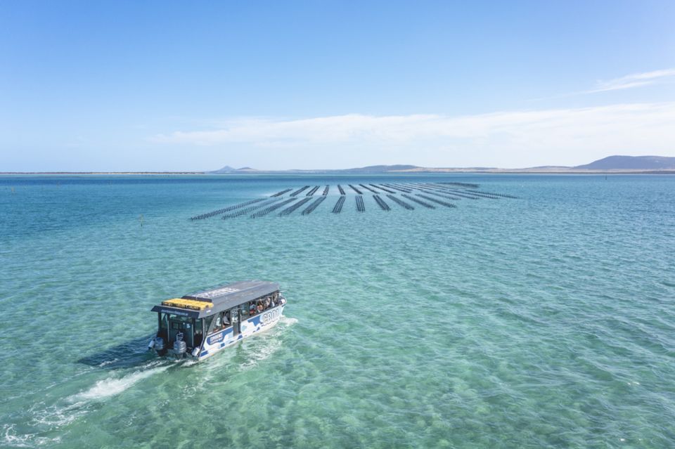 Coffin Bay: Oyster Farm Boat Tour With Wading & 12 Oysters - Common questions