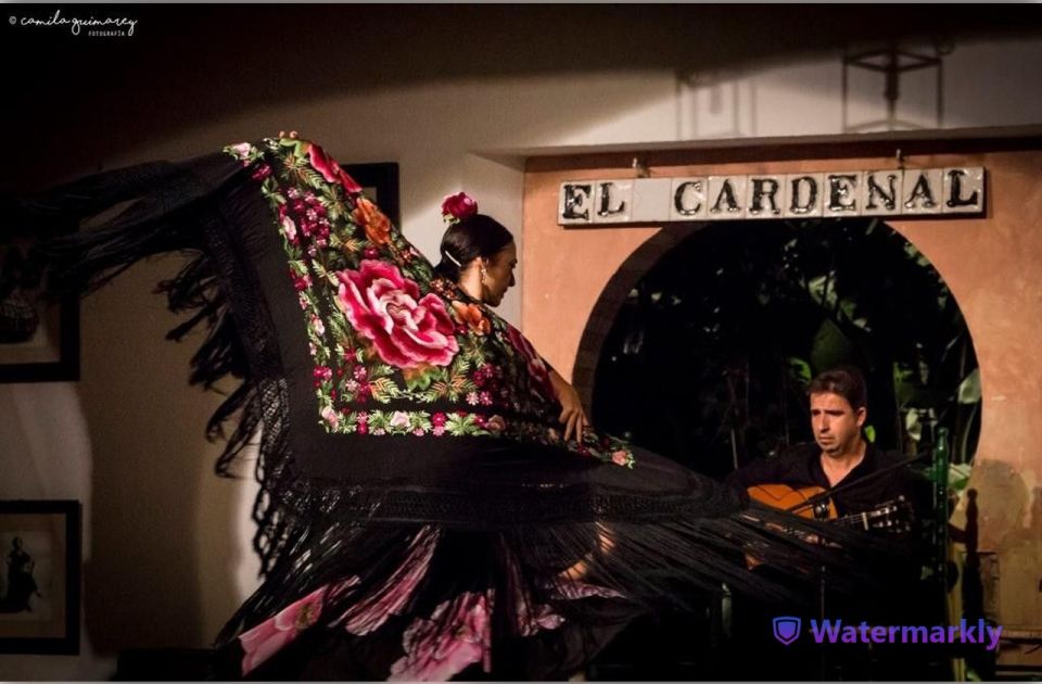 Córdoba: Flamenco Show Ticket With Drinks - Performance Highlights