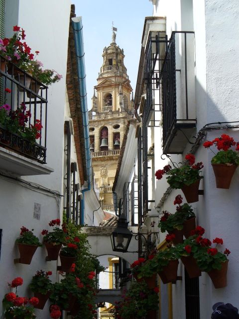 Cordoba - Private Tour Including Visit to the Fortress - Key Points