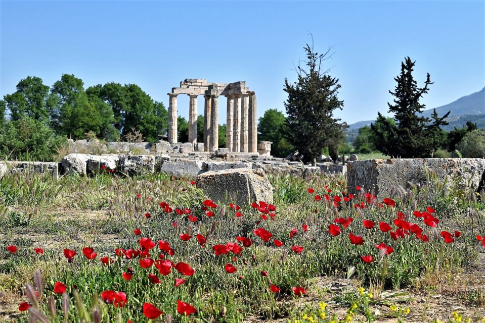 Corinth & Nemea: Guided E-Bike Tour With Wine Tasting - Cost