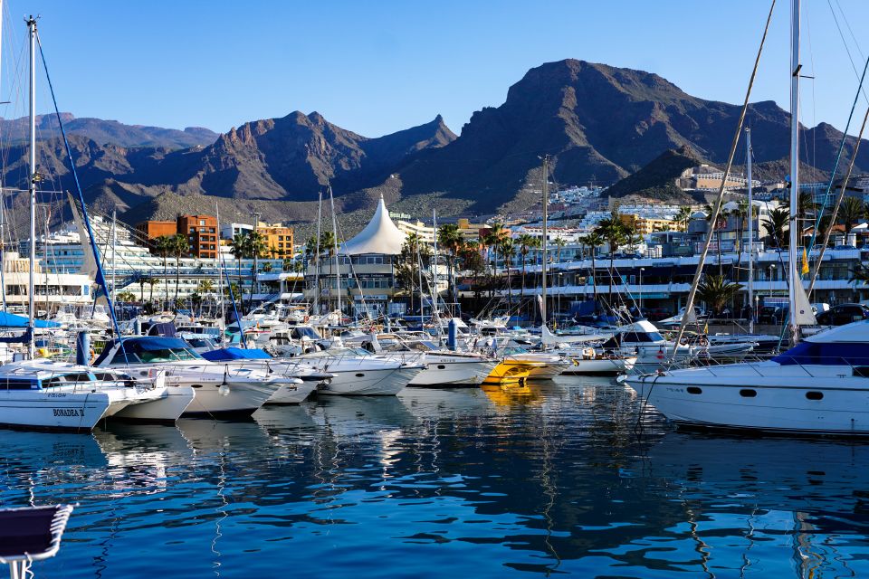 Costa Adeje: Tuk Tuk Tour - Background