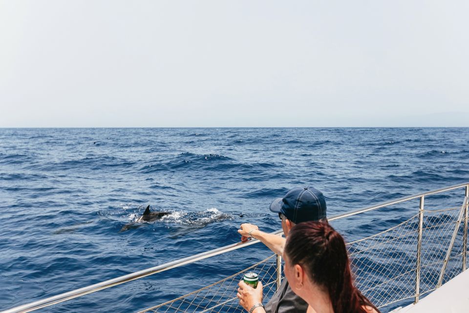 6 costa adeje whale watching catamaran tour with drinks Costa Adeje: Whale Watching Catamaran Tour With Drinks