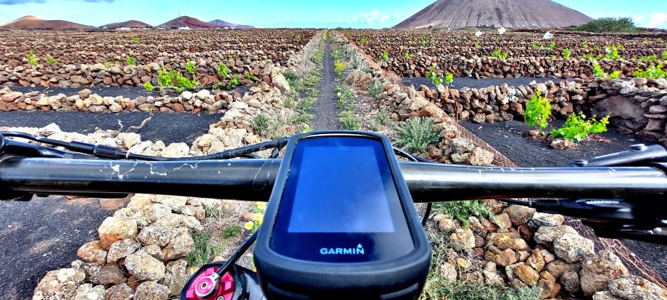 Costa Teguise: E-Bike Tour Among the Volcanoes in Lanzarote - Common questions