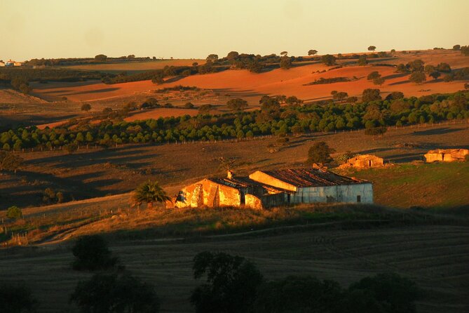 Costa Vicentina Week-Long Bike Tour From Lisbon  - Porto - Common questions