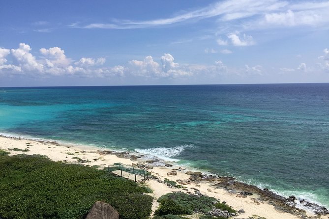 Cozumel Jeep and Snorkel Adventure With Lunch at Punta Sur Park - Customer Feedback and Highlights