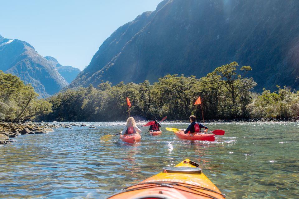 Cruise & Kayak Milford Sound - Visitor Experiences