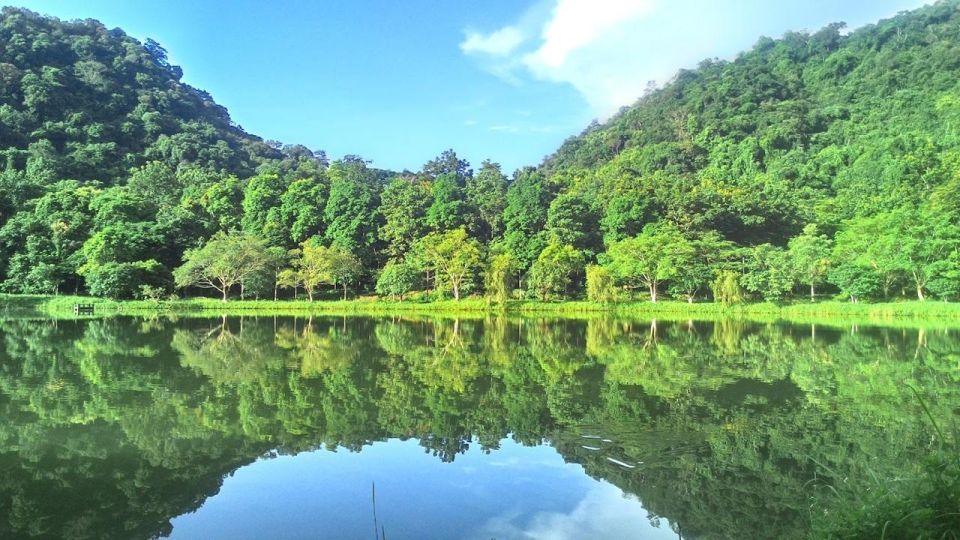 Cuc Phuong Forest - The Forest Of Thousands Of Butterflies - Last Words