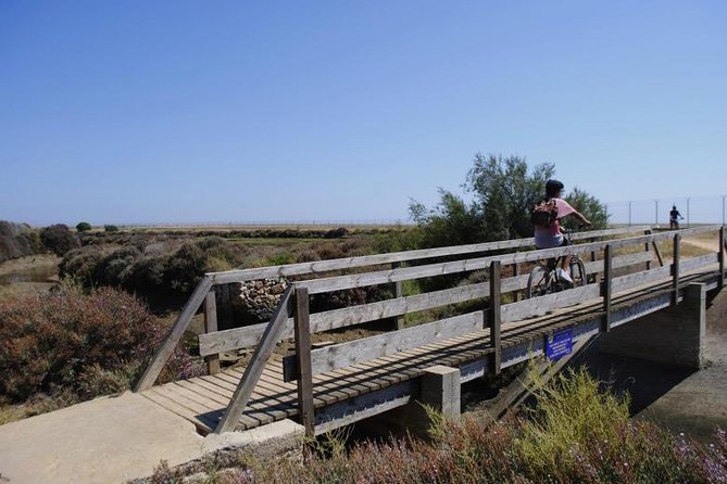 Cycling the Algarves Ria Formosa From Faro - Common questions