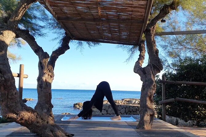 Daily Yoga Classes in Mallorca - Health and Safety Guidelines