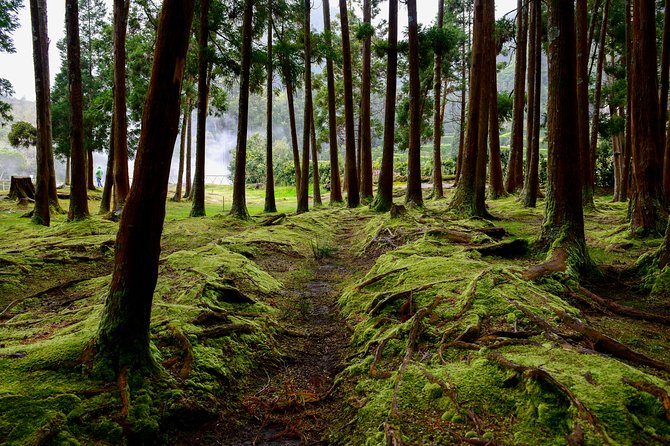 Day Tour to the Amazing Sete Cidades - Last Words