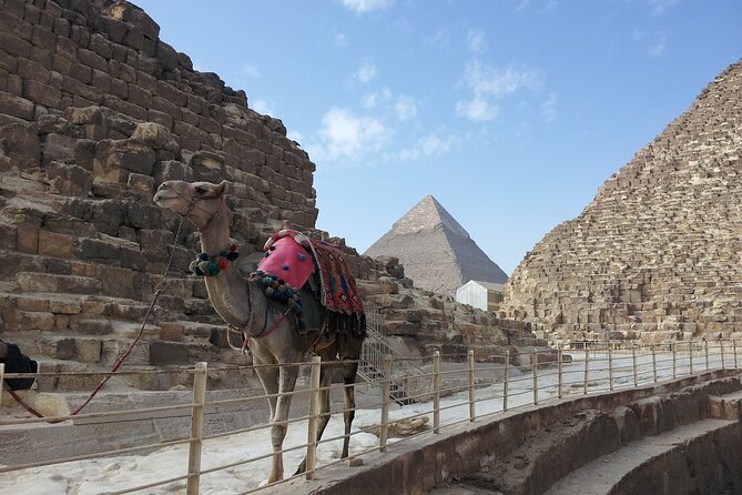 Day Trip to Giza Pyramids City Memphis and Saqqara - Traveler Reviews