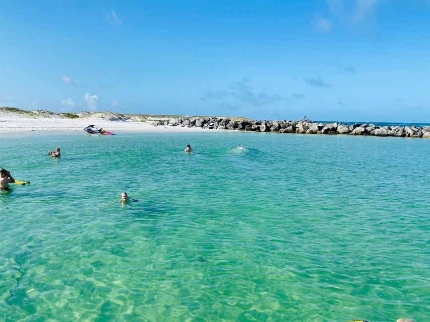 Destin: Snorkeling and Dolphin Watching Cruise - Live Tour Guide