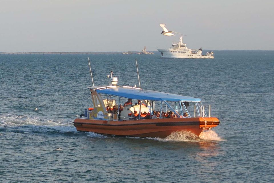 Discover Darwin Harbour: Darwin Harbour Afternoon Cruise - Last Words