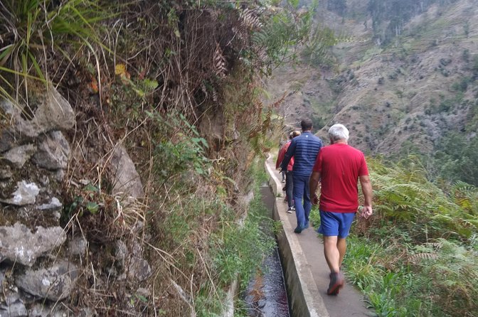 Discover Madeira Island Differently - Last Words