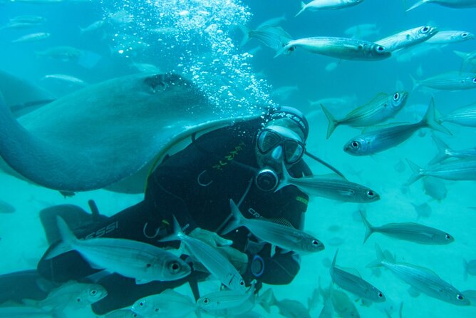 Discover Scuba Diving Adventure in Dubai With Private Transfer - Additional Tips for a Memorable Experience