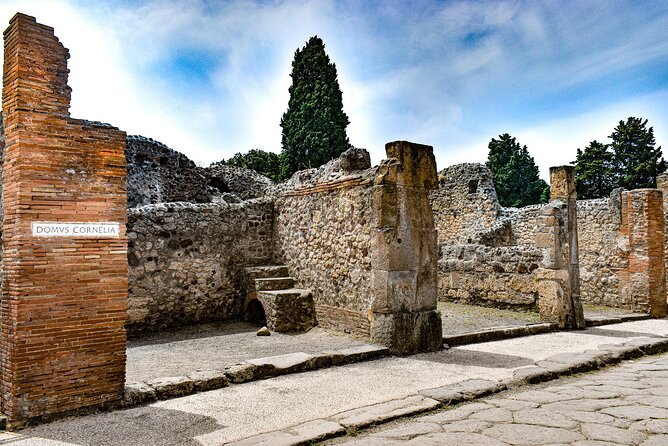 DISCOVERING POMPEII and the SECRETS of PIZZA - VIP Tour/Small Group - Pizza-Making Class With Chef