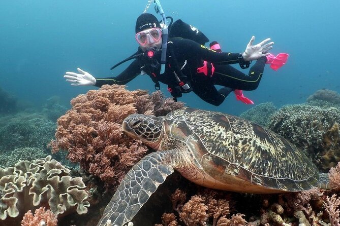 Diving And Snorkeling To Ras Mohamed And White Island By VIP Boat - Diving Courses Available