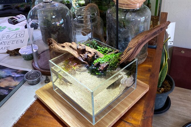 DIY Terrarium Workshop in Hua-Hin - Common questions