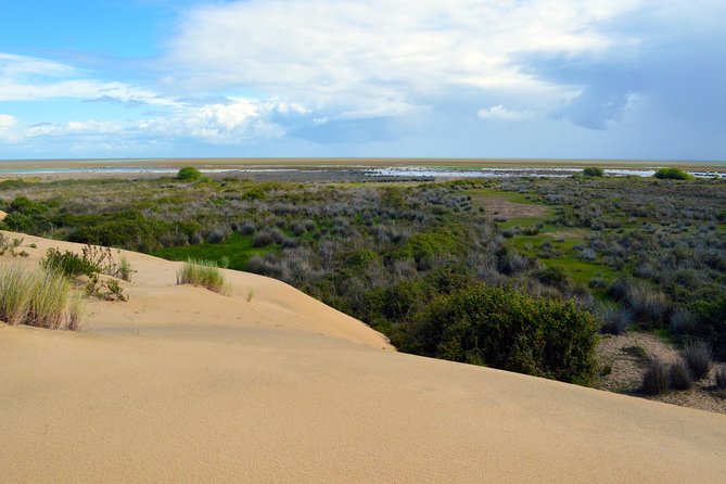 Doñana 4x4 and El Rocío Tour - Last Words