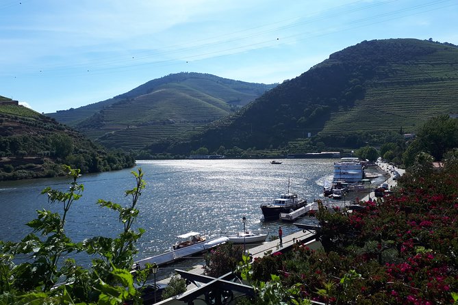 Douro Valley Tour (wine & Food) - Booking and Support Information