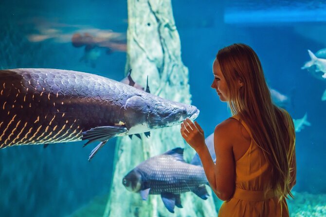Dubai Aquarium and Underwater Zoo With Penguin - Common questions