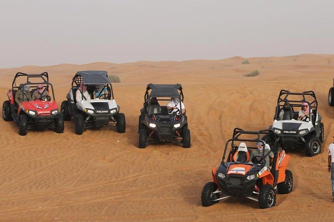 Dubai Desert Private Sand Dune Buggy and Camelback Ride - Pricing and Terms