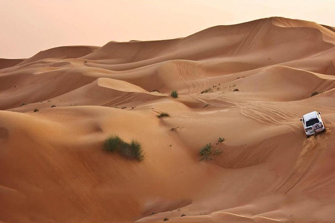 Dubai Desert Safari - Land Cruiser Pickup/Drop off - Feedback and Testimonials