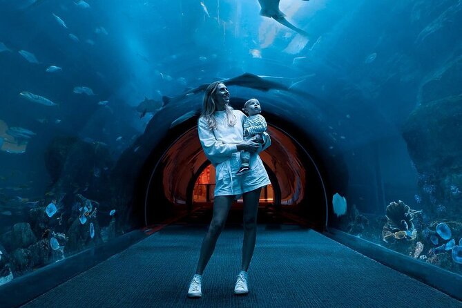 Dubai Mall Aquarium and Underwater Zoo Ticket - Check Availability