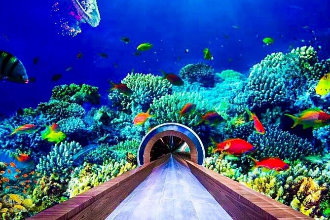 Dubai Mall Aquarium and Underwater Zoo Tickets With Transfers - Last Words