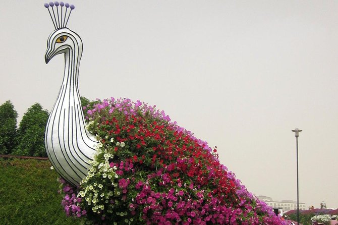 Dubai Miracle Garden Ticket With Transfer - Cancellation Policy Overview