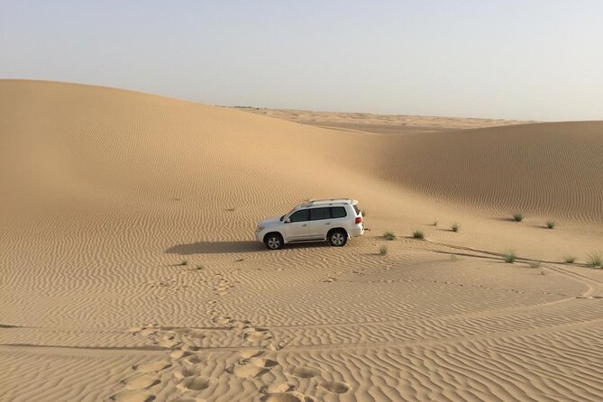 Dubai: Morning Desert Safari With 30 Minutes Buggy - Last Words