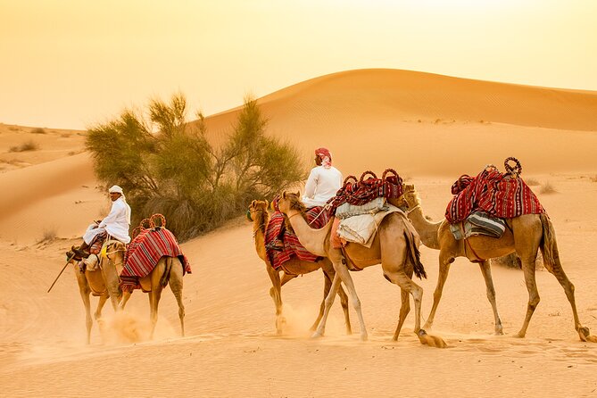 Dubai Overnight Safari With Camping, Camel Riding, Henna and More - Directions