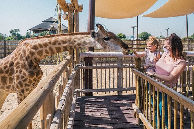 Dubai Safari Park With Transfer - Product Information