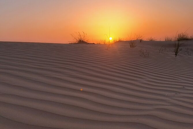 Dubai Sunset Camel Ride With Desert Safari - Understand Viators Booking Process